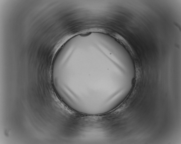 X0000100860860200807111251