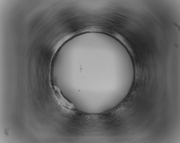 X0000100860861200807111251