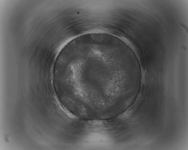 X0000100860862200807111251