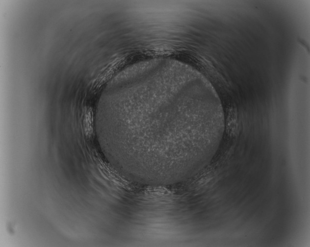 X0000100860866200807111250