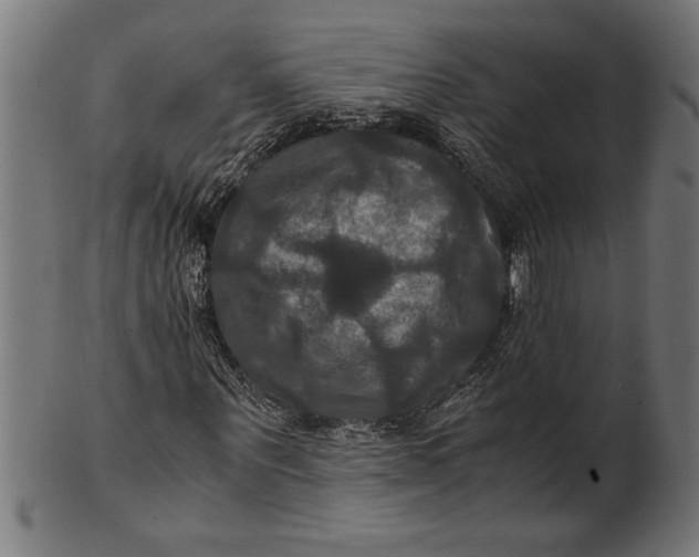 X0000100860867200807111250