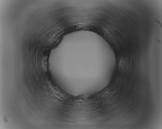 X0000100860868200807111250