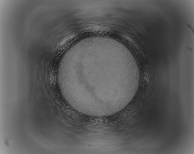 X0000100860869200807111250