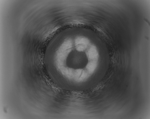 X0000100860870200807111250