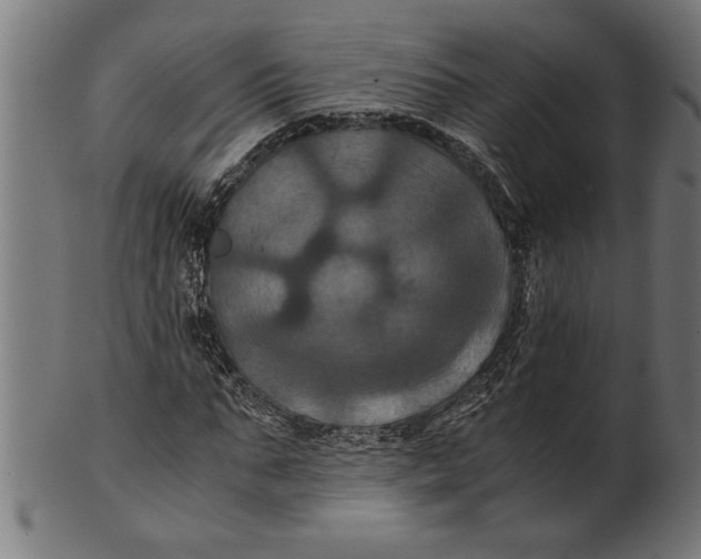 X0000100860871200807111250