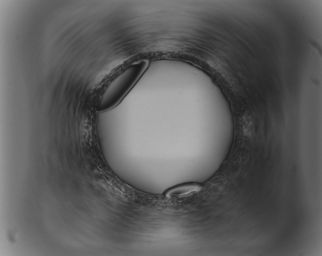 X0000100860872200807111250