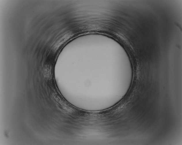 X0000100860873200807111250