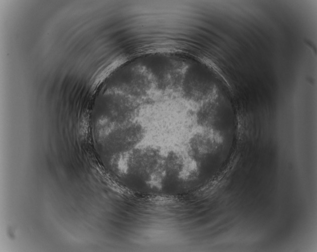 X0000100860874200807111250