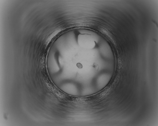 X0000100860875200807111250