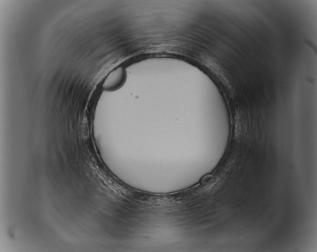 X0000100860876200807111250