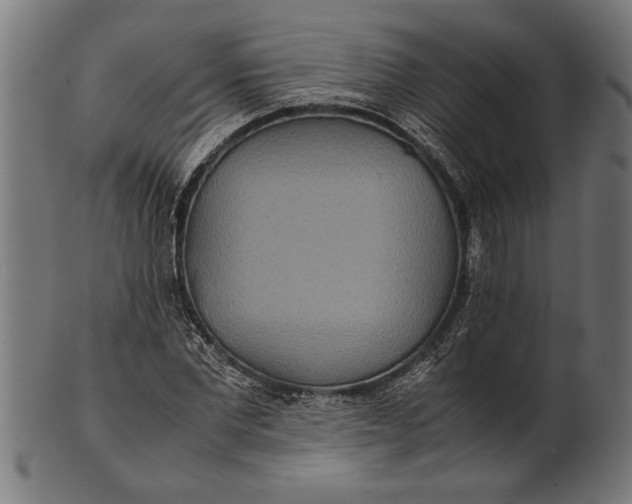 X0000100860877200807111250