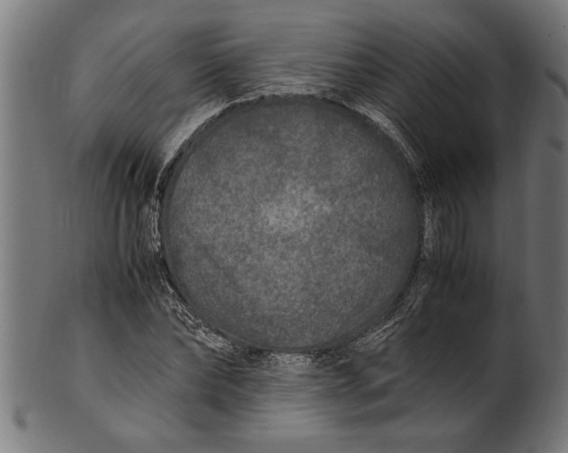 X0000100860878200807111250