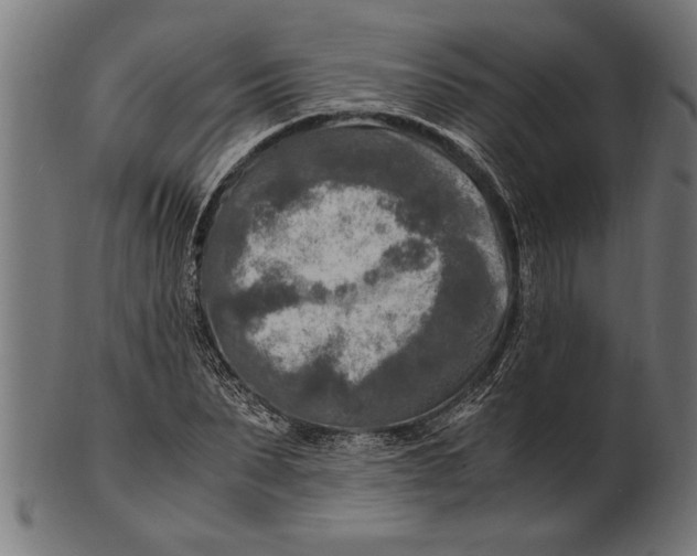 X0000100860879200807111250