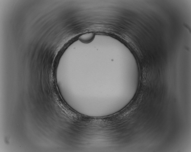 X0000100860880200807111250