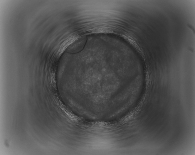 X0000100860881200807111250