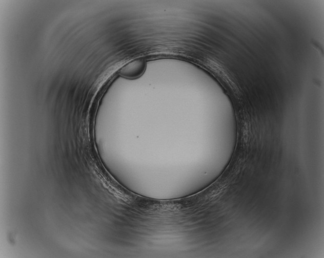 X0000100860884200807111250