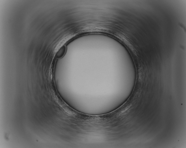 X0000100860885200807111250