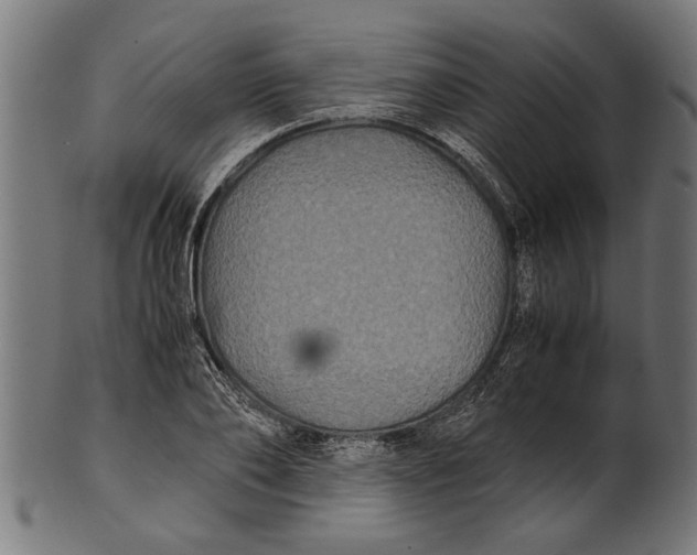 X0000100860886200807111250