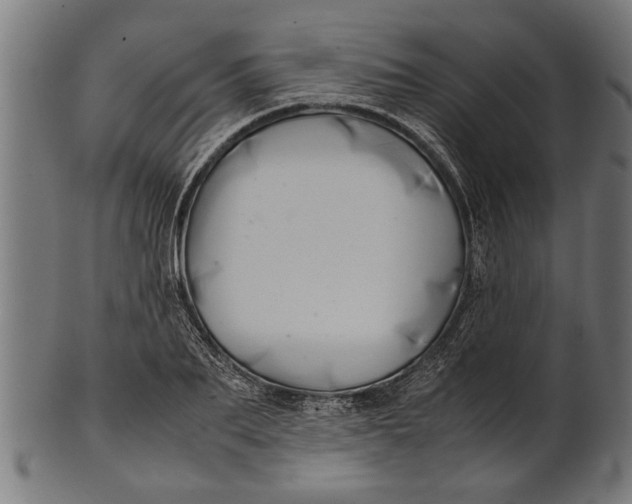 X0000100860887200807111250