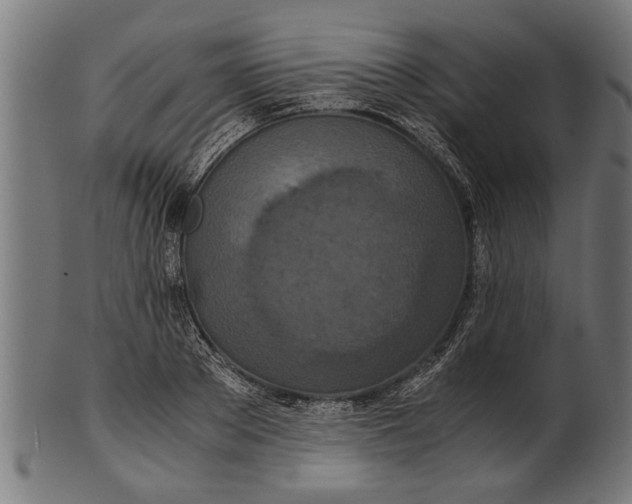 X0000100860889200807111250