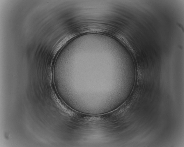 X0000100860890200807111250