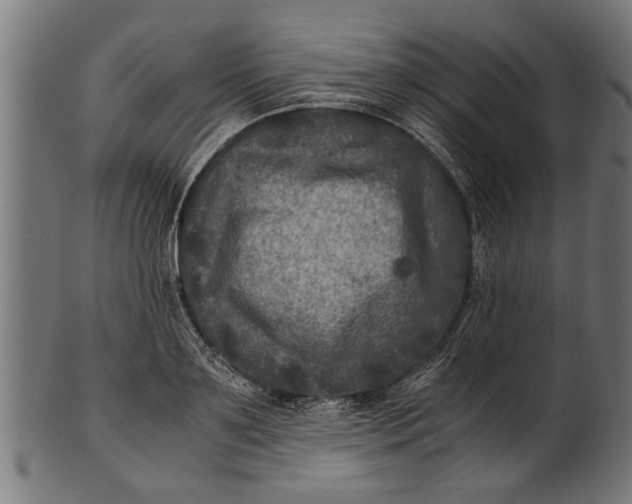 X0000100860891200807111250