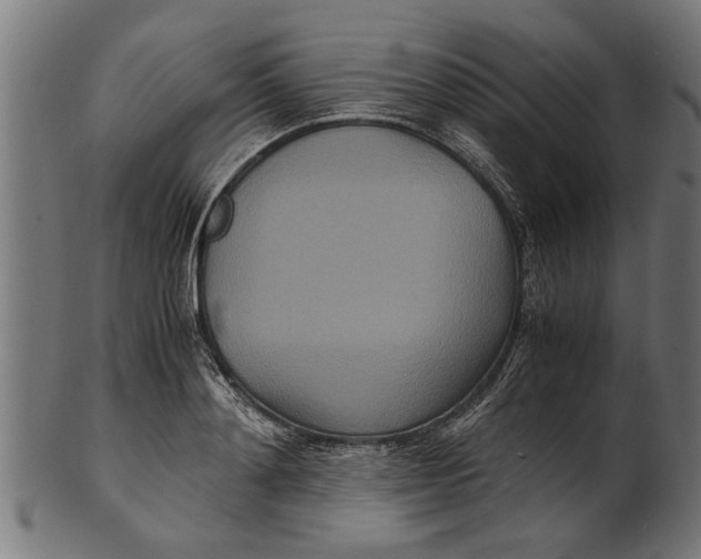 X0000100860892200807111250