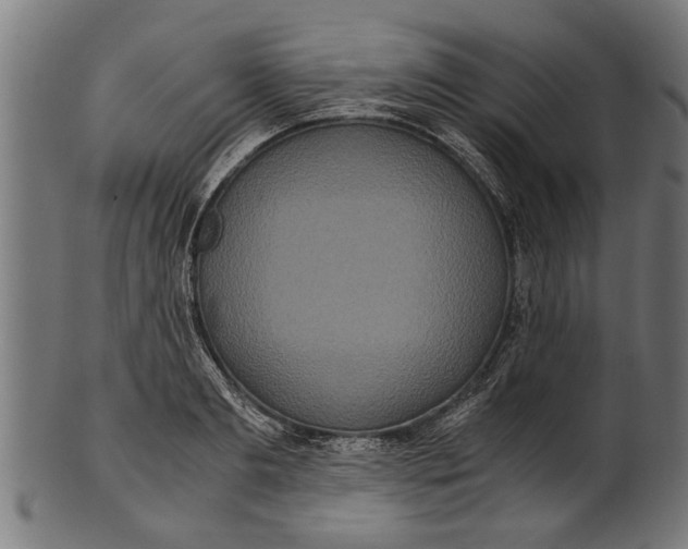 X0000100860893200807111250