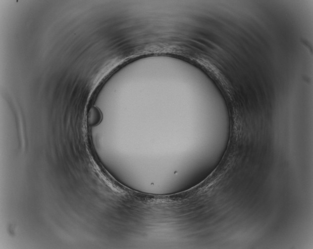 X0000100860894200807111250