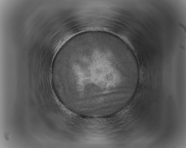 X0000100860895200807111250