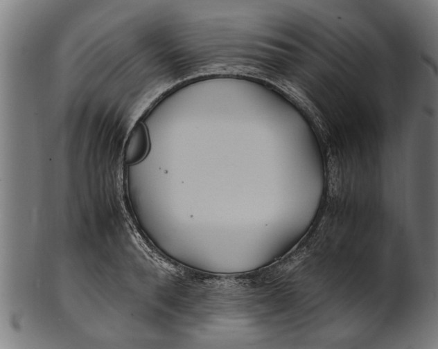 X0000100860896200807111250