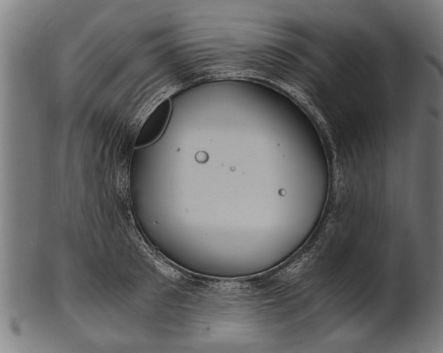 X0000100860897200807111250