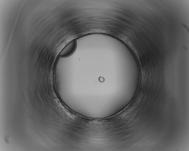 X0000100860898200807111250