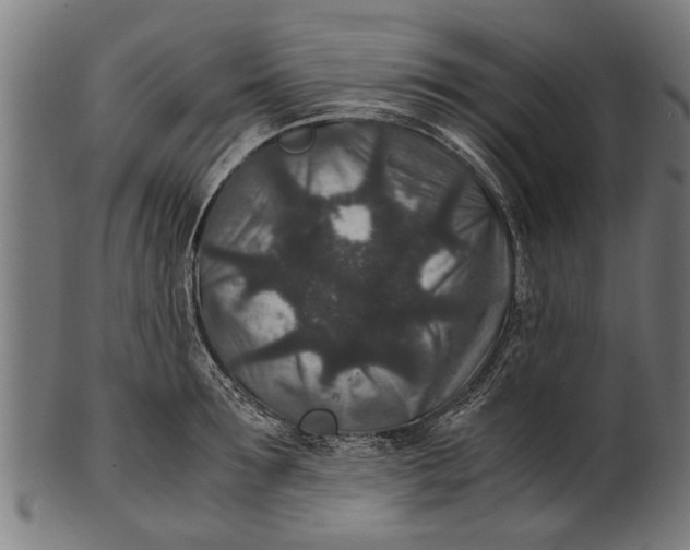 X0000100860899200807111250