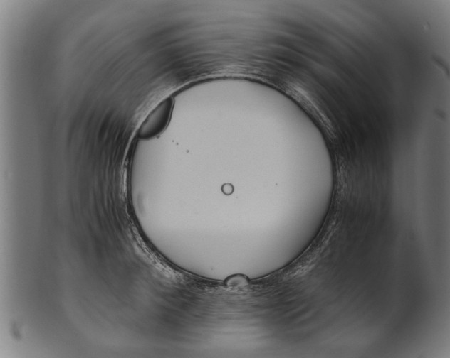 X0000100860900200807111250