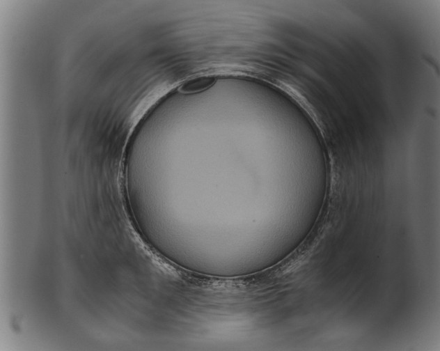 X0000100860901200807111250