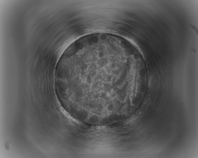 X0000100860903200807111250