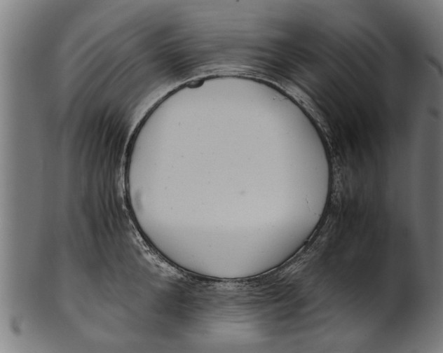 X0000100860904200807111250