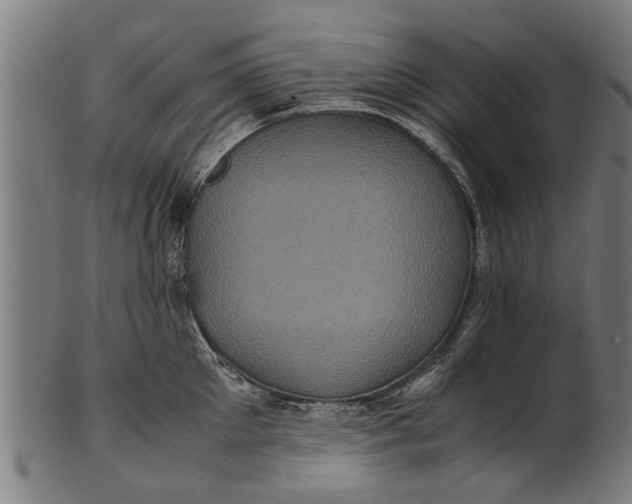 X0000100860905200807111250