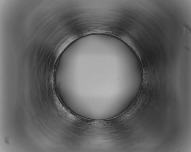 X0000100860906200807111250