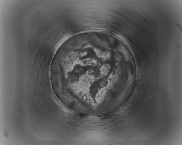 X0000100860907200807111250