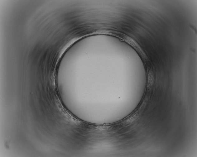 X0000100860908200807111250