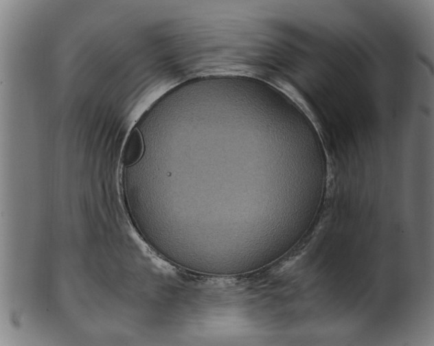 X0000100860909200807111250