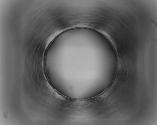 X0000100860910200807111250