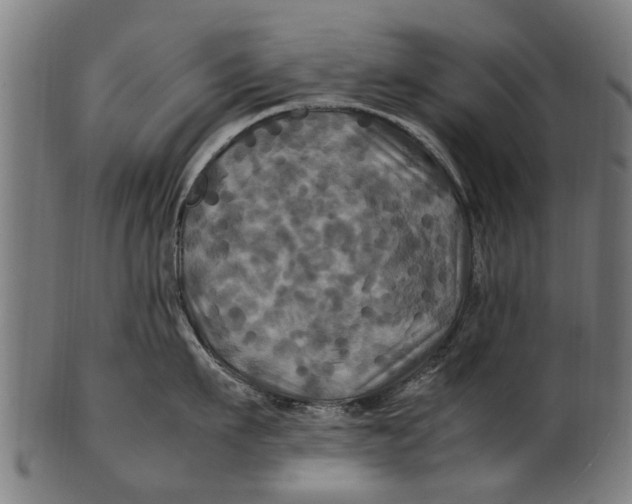 X0000100860911200807111250