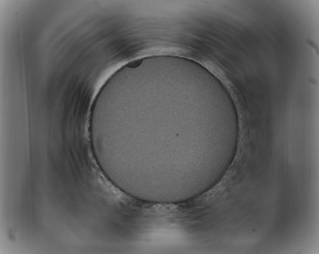 X0000100860912200807111250