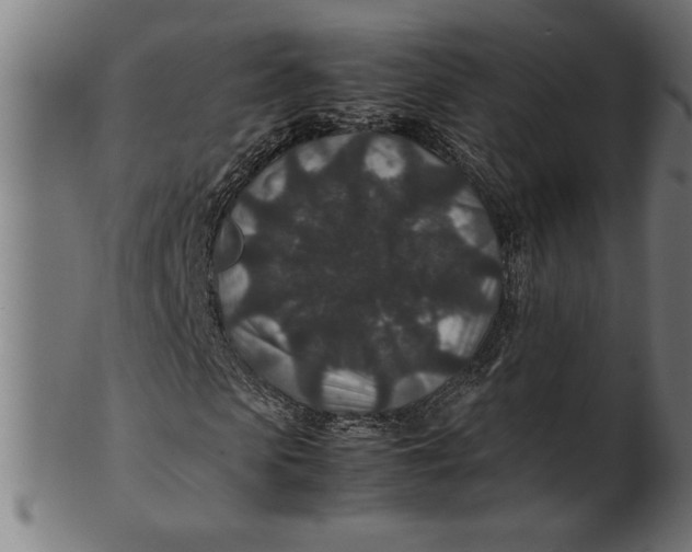 X0000100860913200807111249