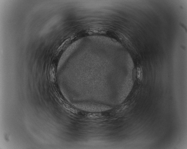 X0000100860915200807111249