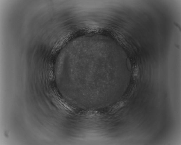 X0000100860916200807111249