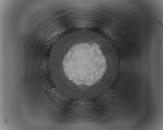 X0000100860917200807111249